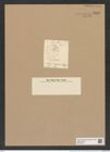 Actinoptychus parda Castr. (de-Toni-Nr.: Genus 227, Species 5629) Zeichnungen Sammlung Grunow Nr. 9518 (NHMW-BOT-W0379505)